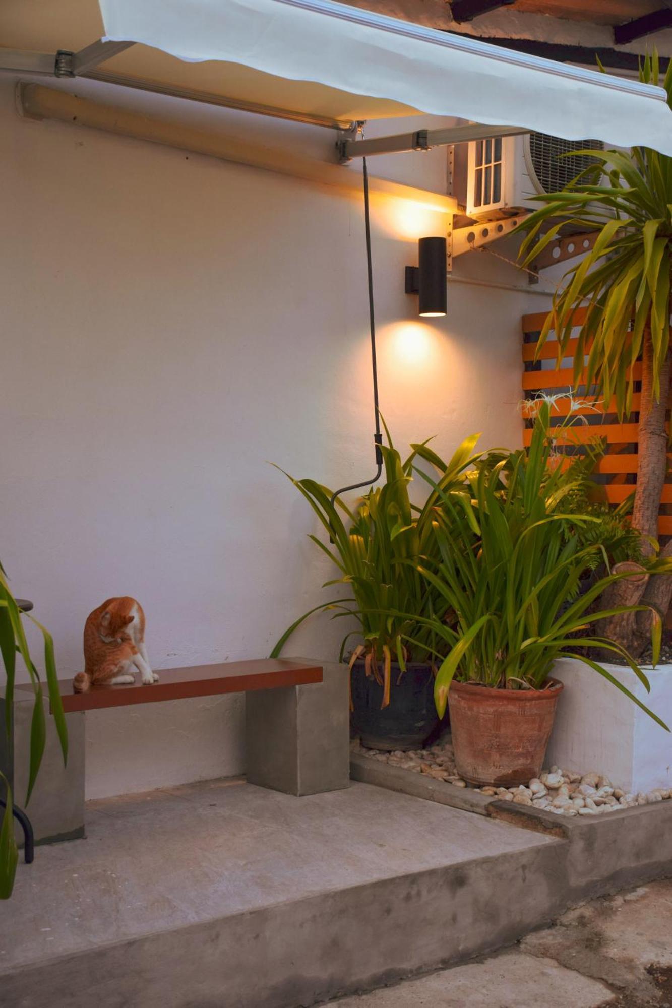 Hostal Costa Bed